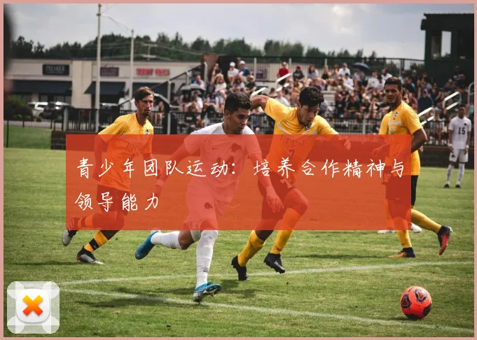 青少年团队运动：培养合作精神与领导能力